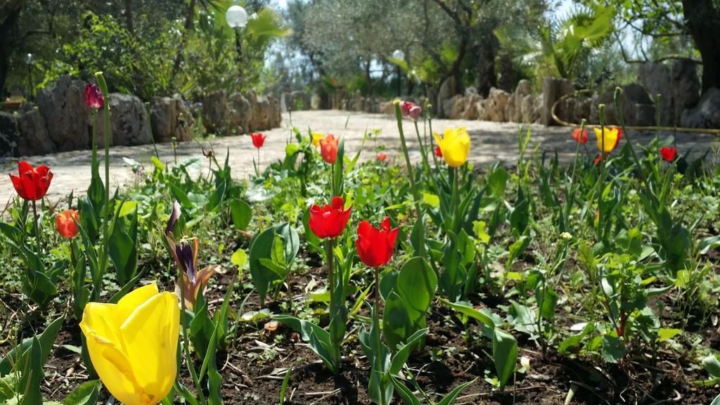 Agriturismo Tenuta La Siesta Gallipoli Εξωτερικό φωτογραφία
