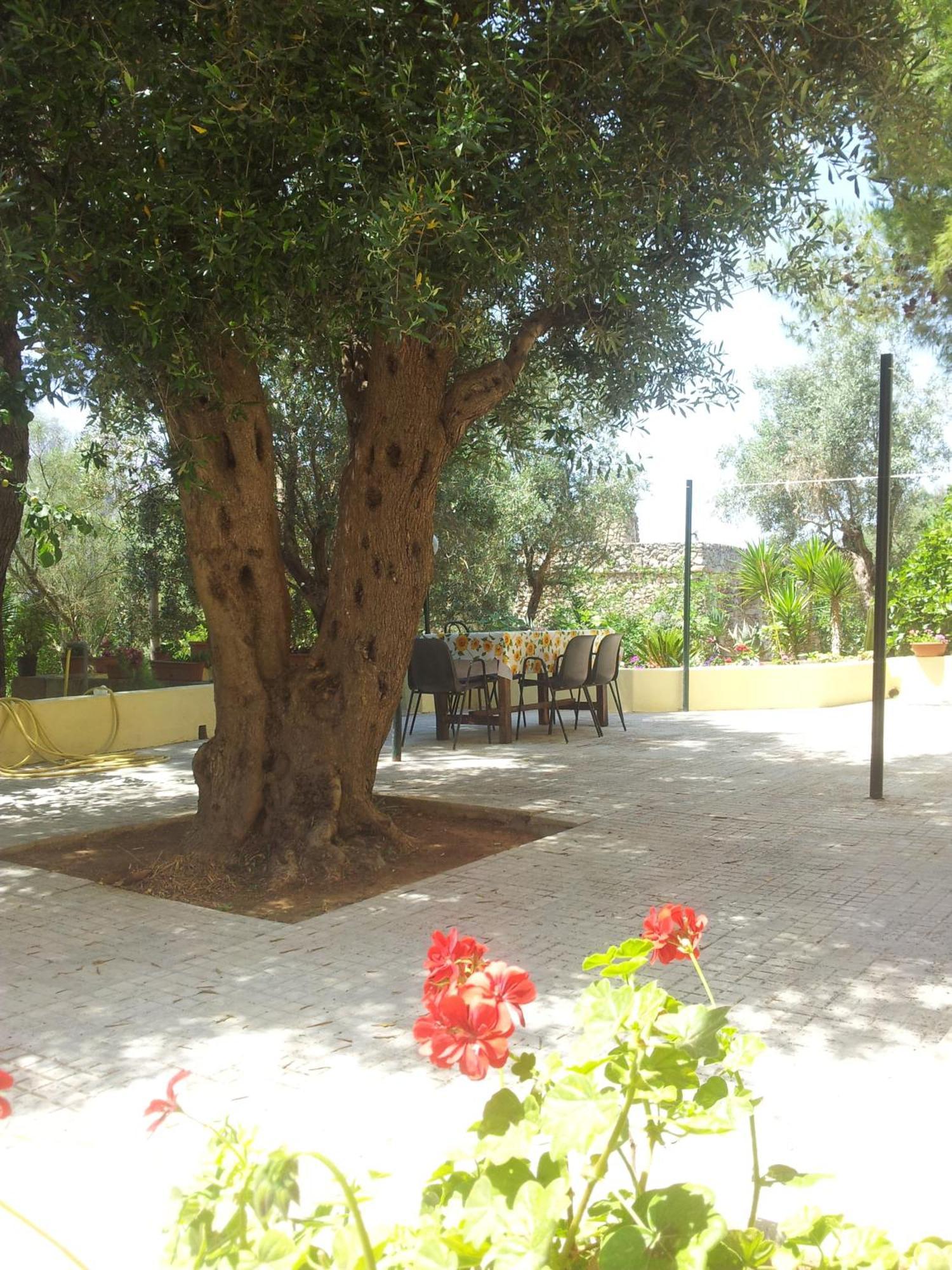 Agriturismo Tenuta La Siesta Gallipoli Εξωτερικό φωτογραφία