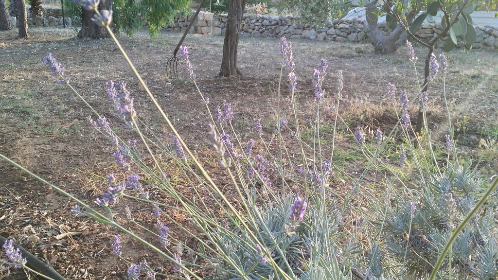 Agriturismo Tenuta La Siesta Gallipoli Εξωτερικό φωτογραφία