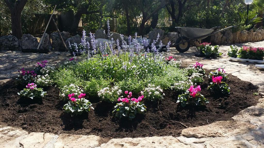 Agriturismo Tenuta La Siesta Gallipoli Εξωτερικό φωτογραφία