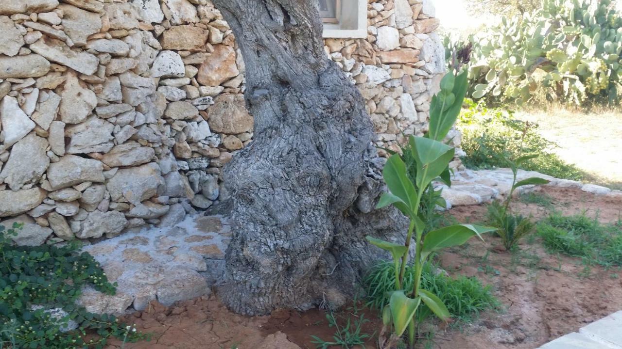Agriturismo Tenuta La Siesta Gallipoli Εξωτερικό φωτογραφία