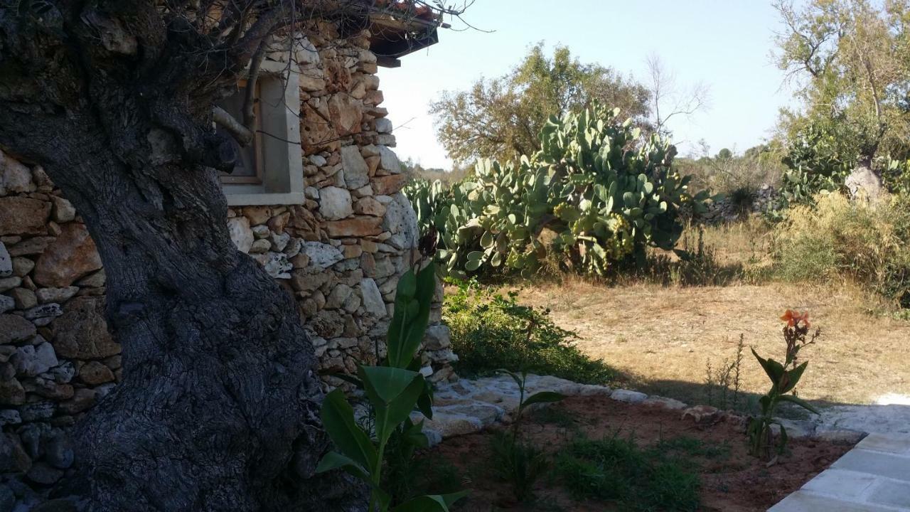 Agriturismo Tenuta La Siesta Gallipoli Εξωτερικό φωτογραφία